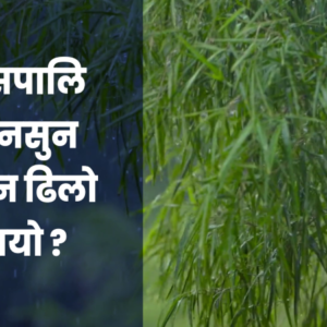 यसपालि मनसुन सुरु हुन किन ढिला ?